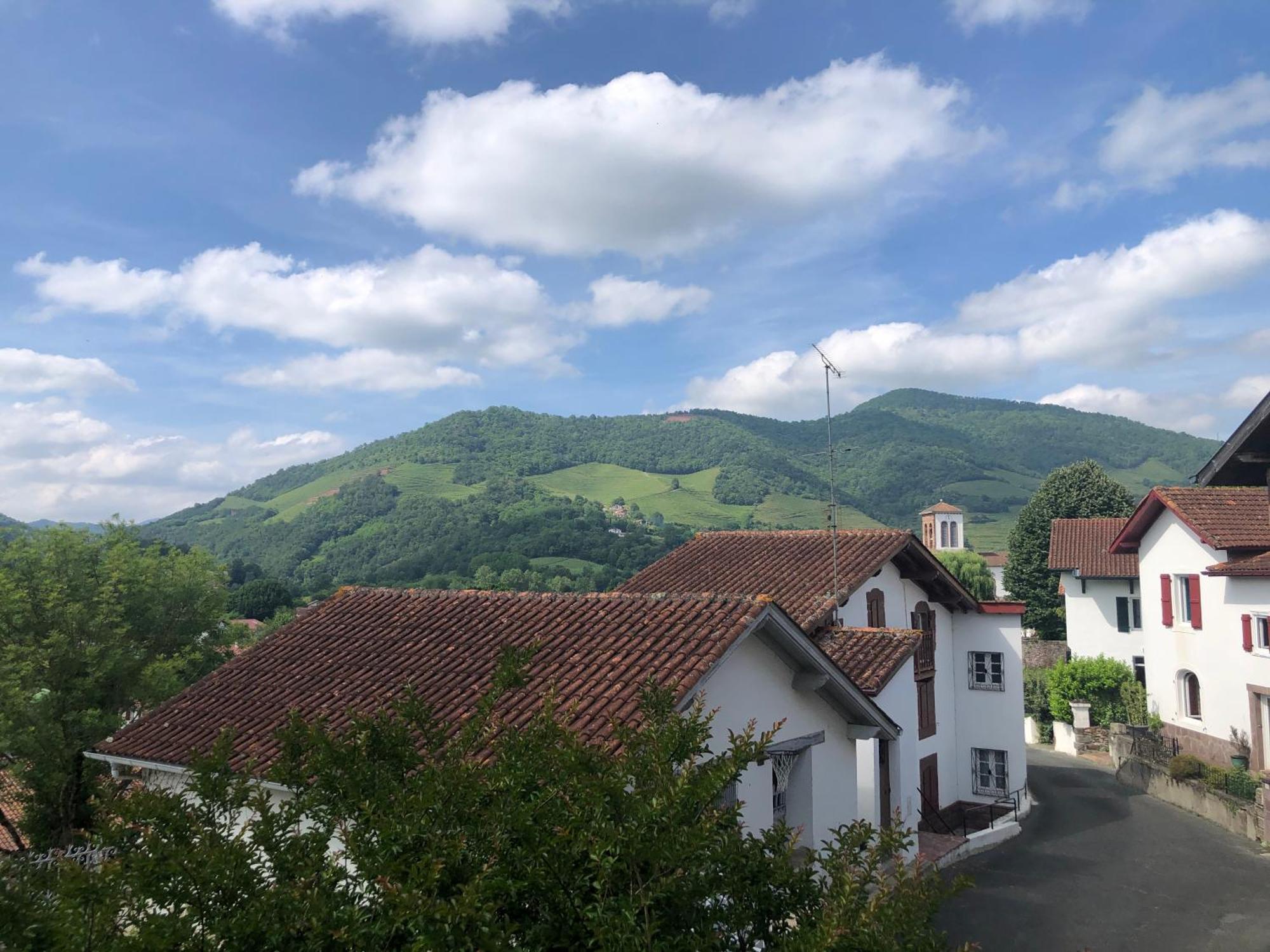 Maison D'Hotes Larraldia Uhart-Cize Kültér fotó